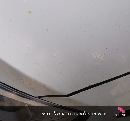 מכסה מנוע עם שריטות ופגמים בצבע